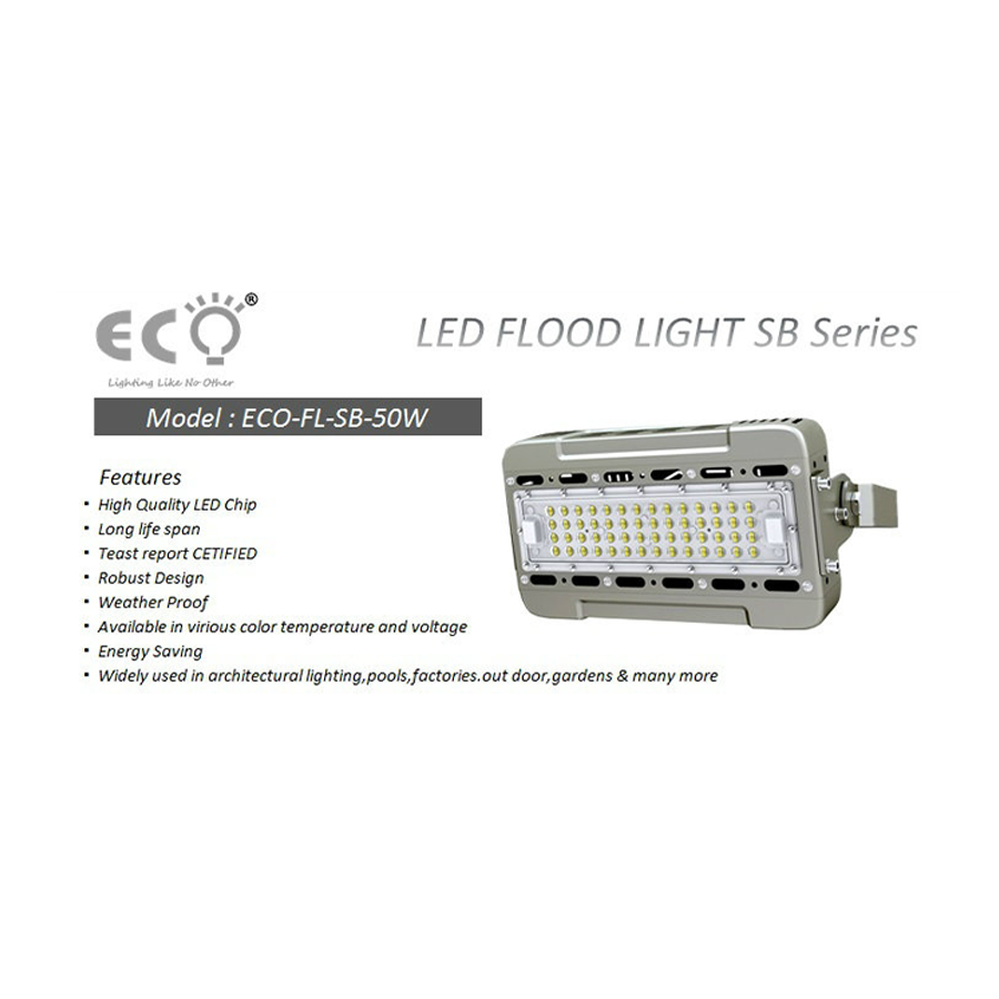 Led Flood Light 1